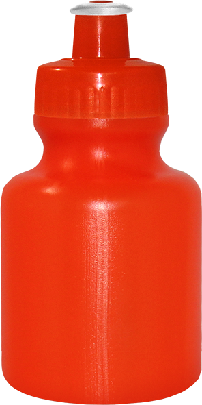 Imagem de Squeeze 300 ml